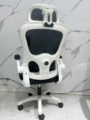Very Beautiful Ergonomic Chair