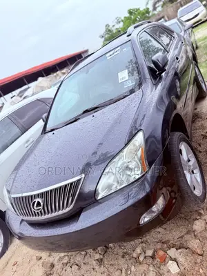 Lexus RX 330 2004 Gray
