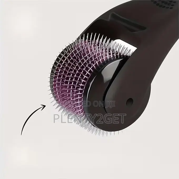 Portable 0.25mm Professional Microneedle Roller, 540 Titanium Micronee