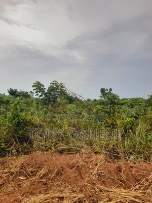Acres and Hectare of Farmlands for Sale in Shapade, Sagamu Interchange