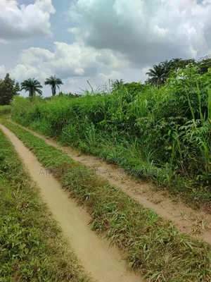 Surveyed Farmland