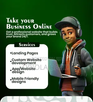 Professional Website Design