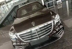 New Mercedes-Benz S-Class 2020 Gray