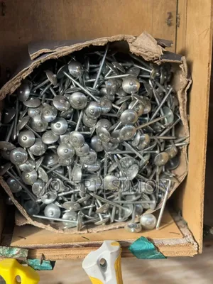 Galvanized Umbrella Head Roofing Nails