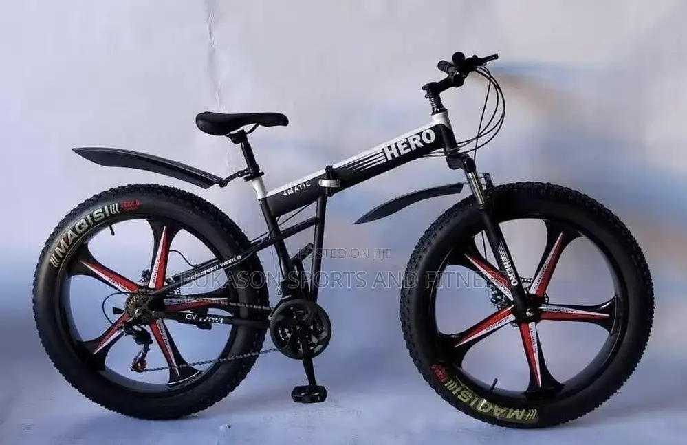 Hero Alloyed Bicycle