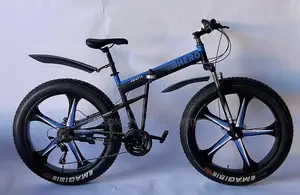 Hero Alloyed Bicycle