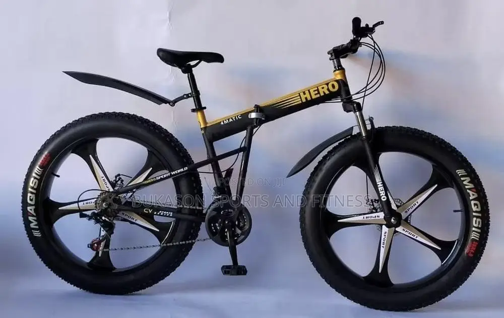 Hero Alloyed Bicycle