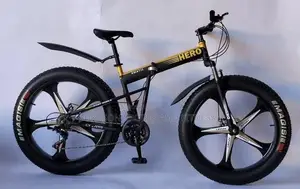 Hero Alloyed Bicycle