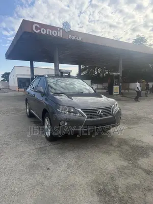 Lexus RX 2013 Gray