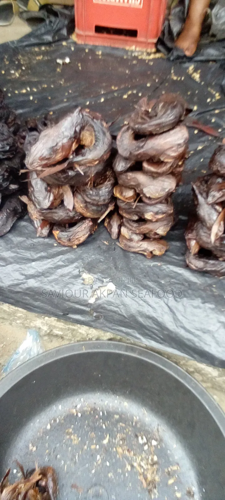 Crayfish and Fish