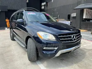 Mercedes-Benz M Class 2013 Blue