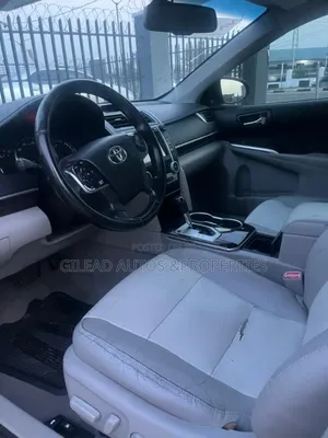 Toyota Camry XLE 4dr Sedan (2.5L 4cyl 6A) 2014
