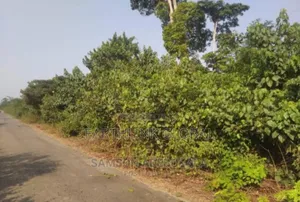 Plots of Land at Toru Orua