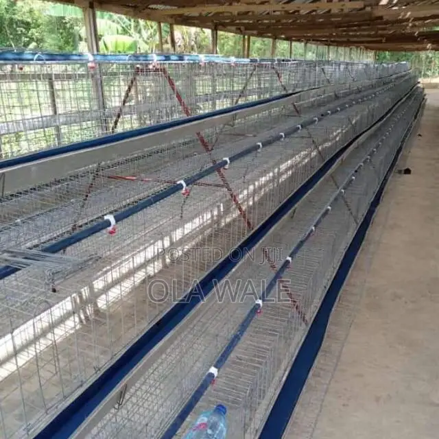 Layers Cage