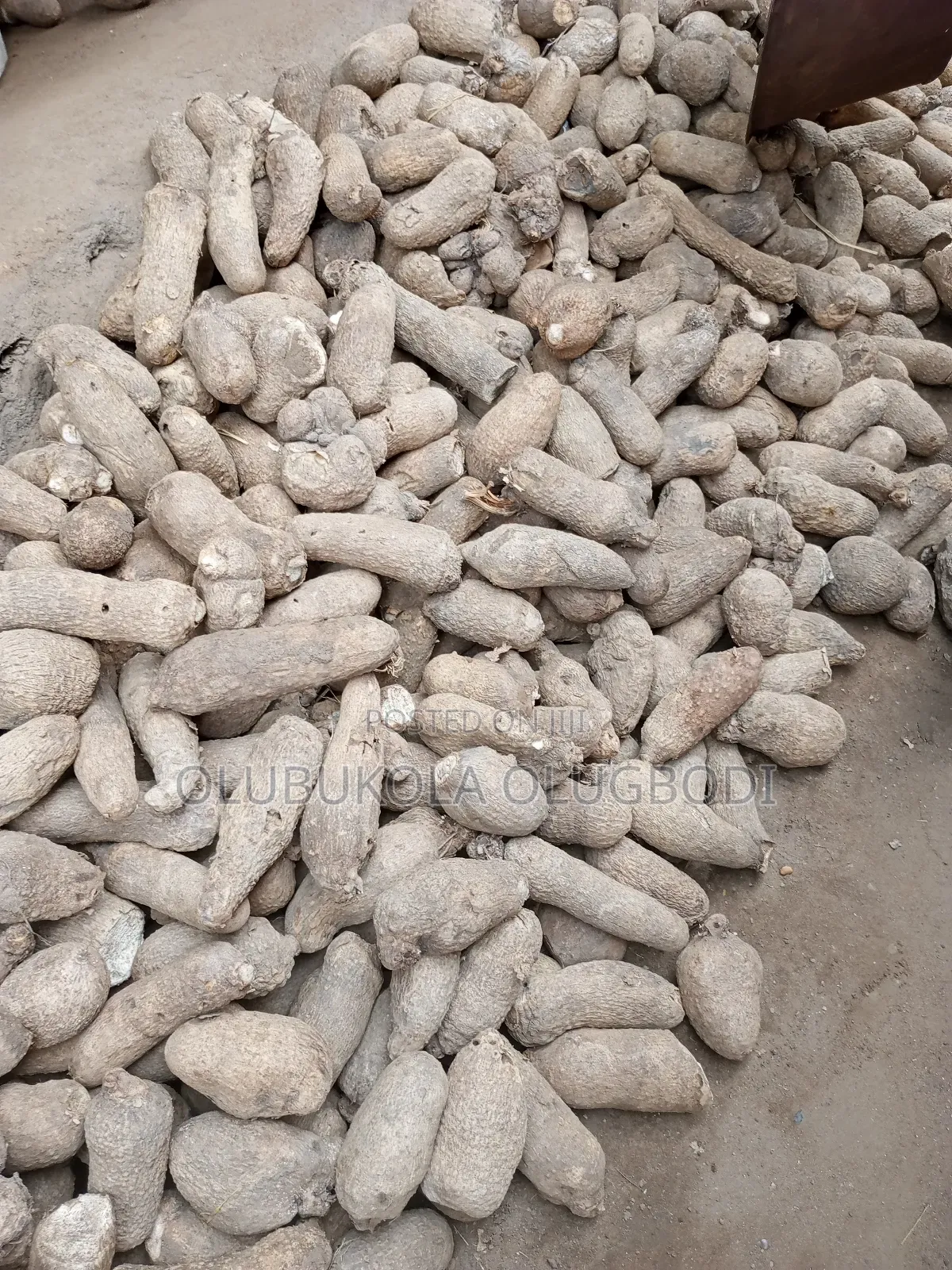 Benue and Abuja Yam Set