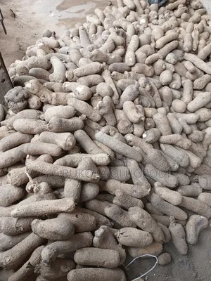 Benue and Abuja Yam Set