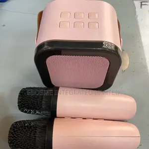 2 Mic Home Karaoke