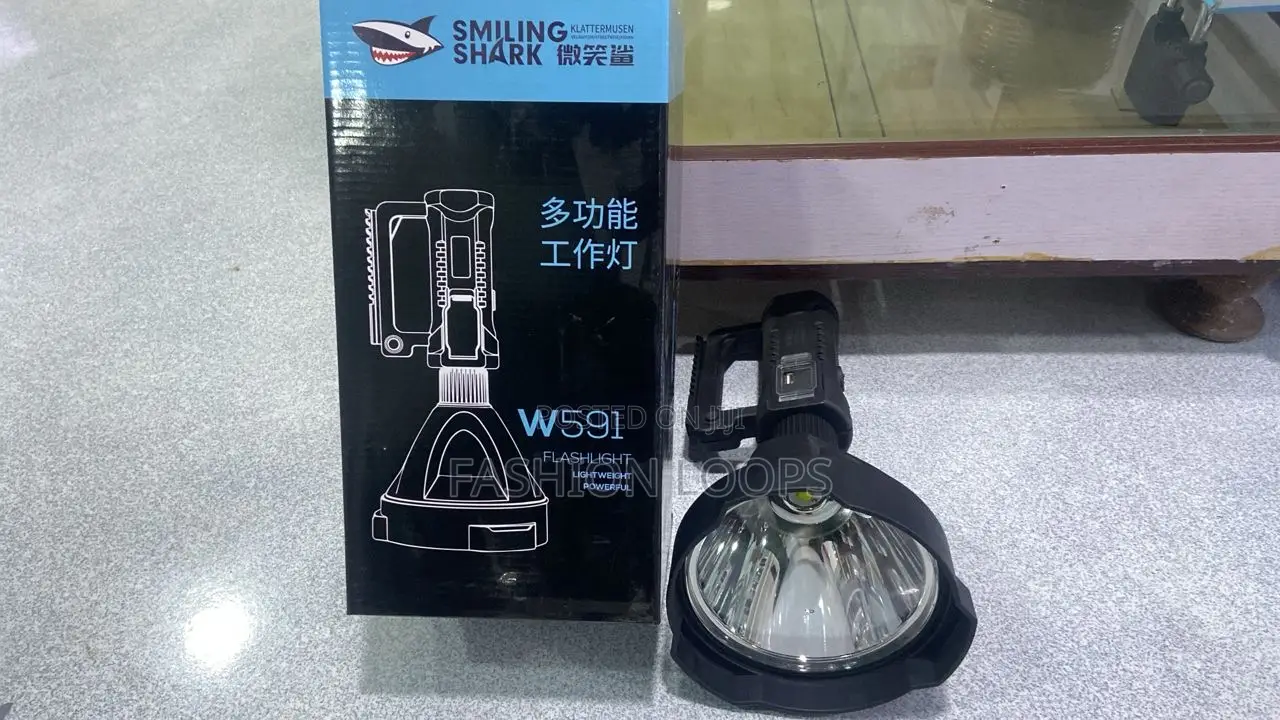 W591. Security Flashlight