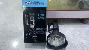 W591. Security Flashlight