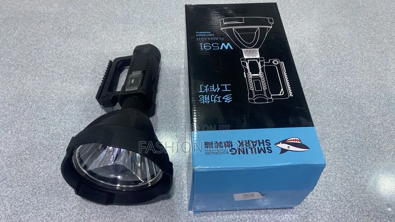 W591. Security Flashlight