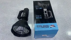 W591. Security Flashlight