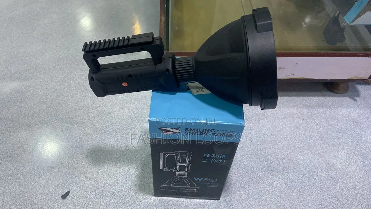 W591. Security Flashlight