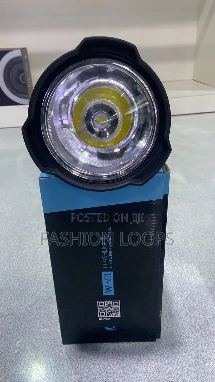 W591. Security Flashlight
