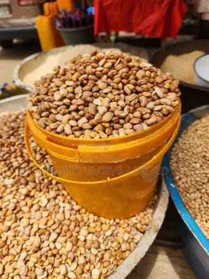 Clean Brown Beans (Honey Beans) Stone-Free Well Sorted (Per Painter)