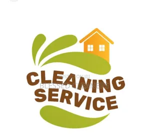 Professional Cleaning Service