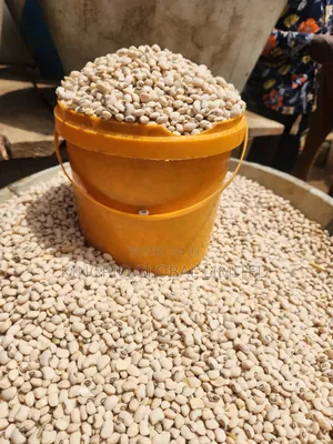 Sweet Cashew Beans (Oloyin) Clean Stone-Free (Per Painter)