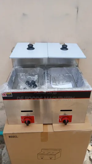Double Tank Gas Deep Fryer (10l)