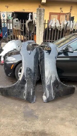 BMW X6 Fender