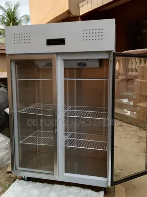 Industrial 2 Door Display Freezer