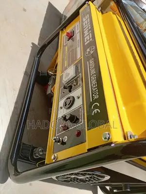 Senwei Generator – Very Strong Engine Condition