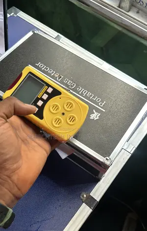 Portable Gas Detector