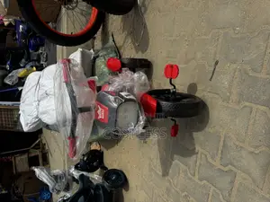 Brand New Children's Tricycle