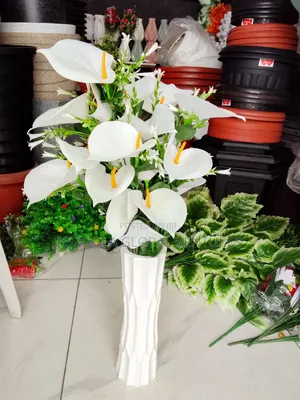 Flower Pots and Flowers