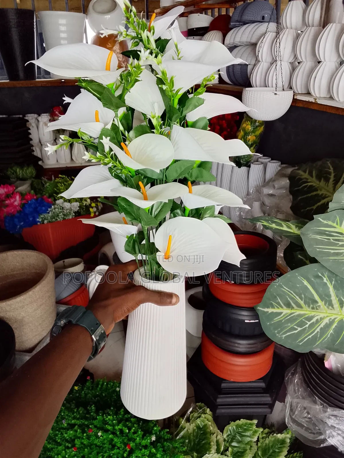 Flower Pots and Flowers
