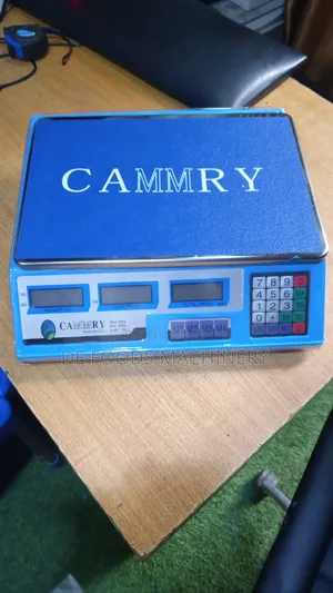 40kg Camry Scale