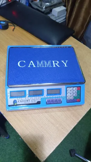 40kg Camry Scale