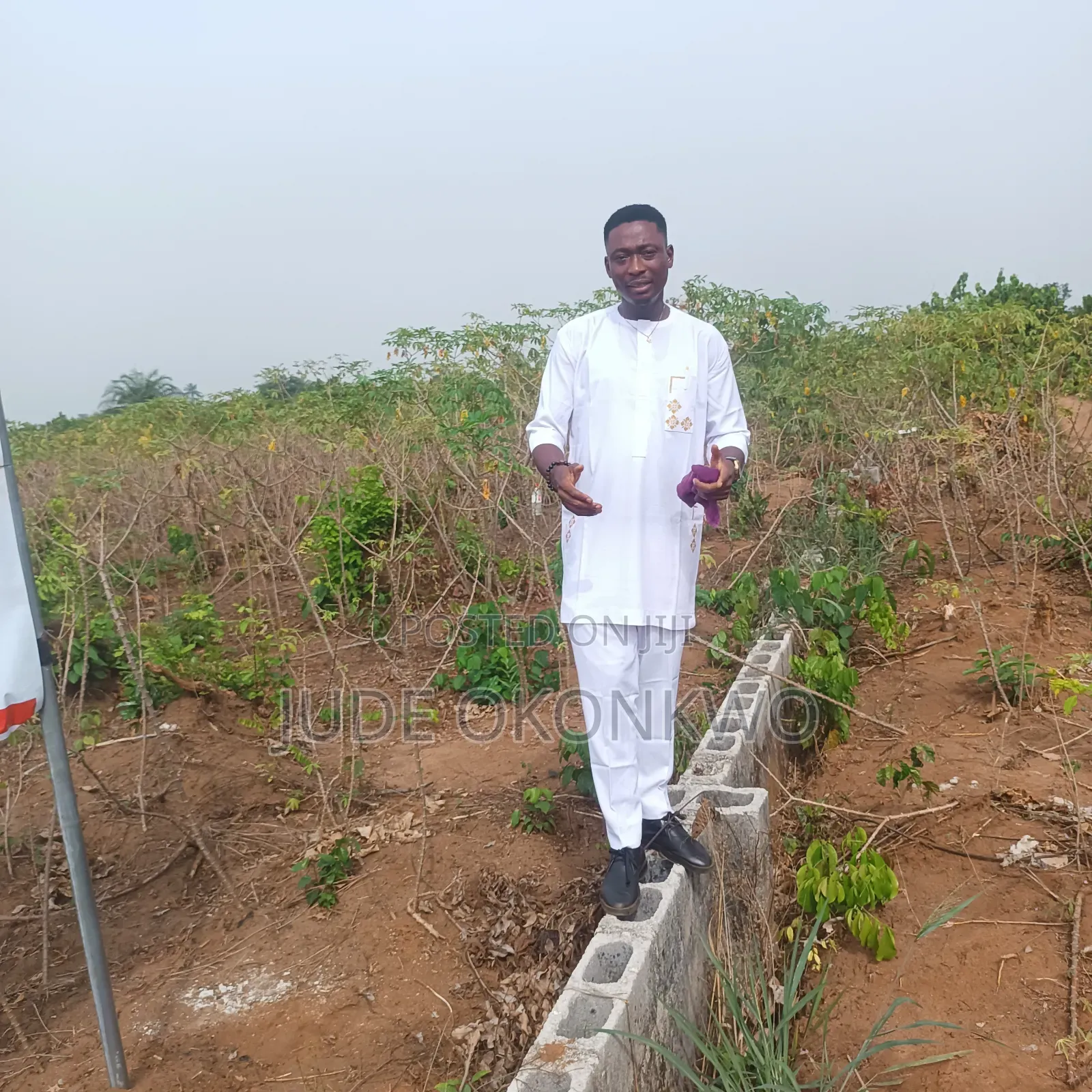 A Plot of Land
