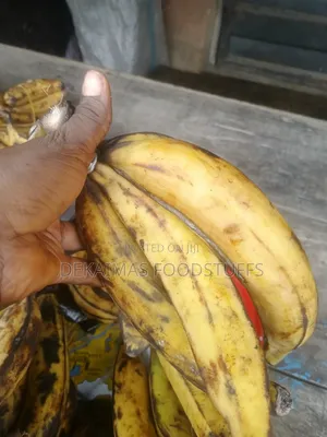 Plaintain Ripe and Unripe