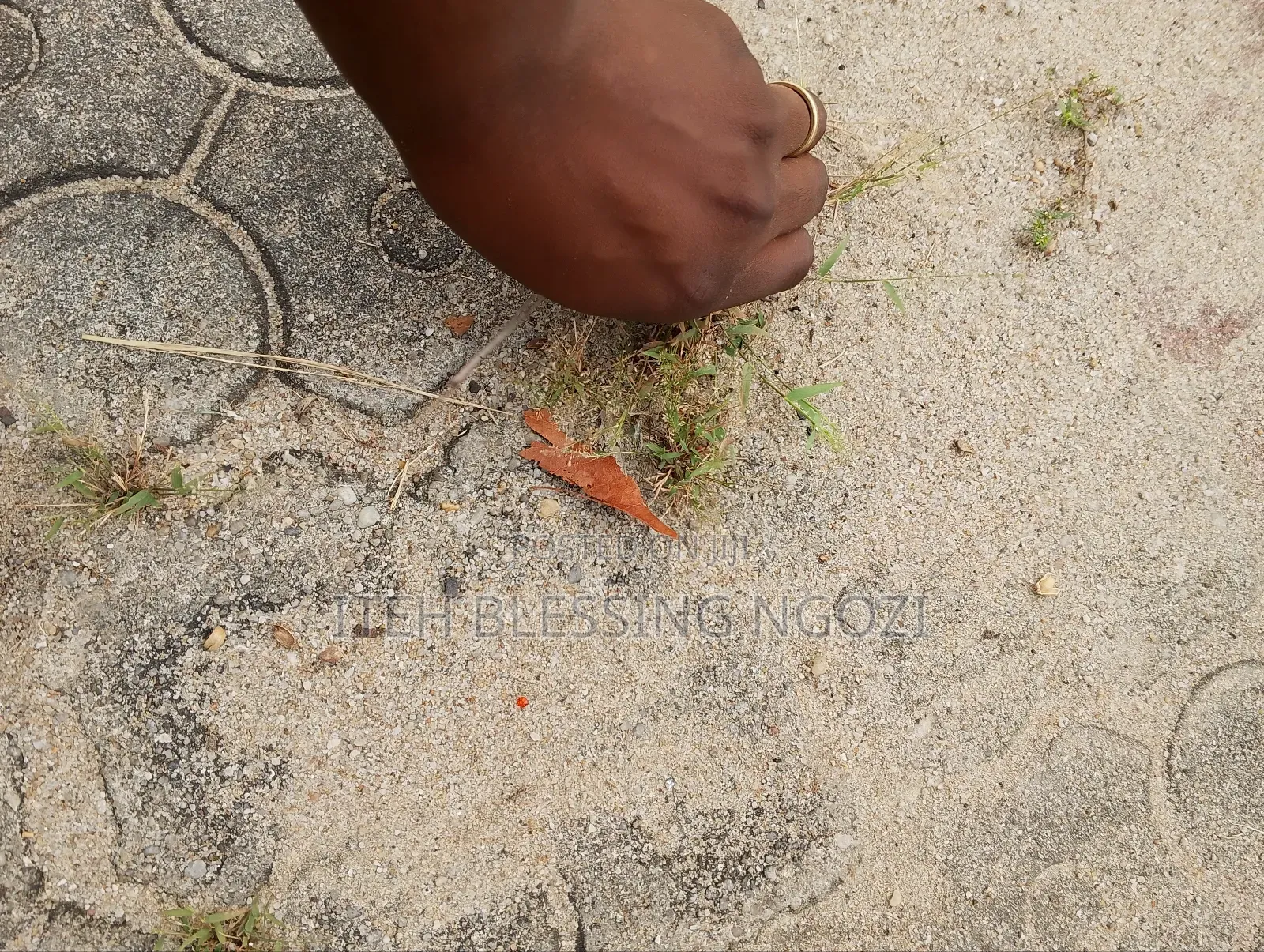 Sparkles Cleaning Services and More