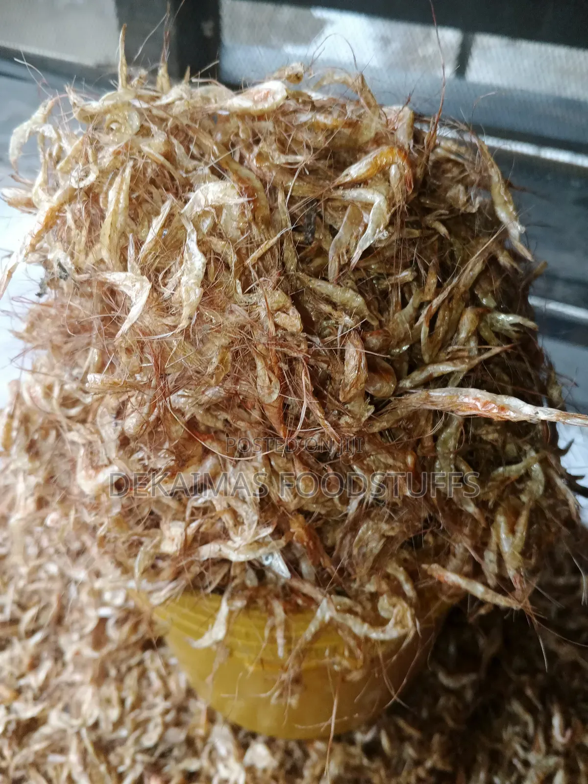Oron Crayfish (Neatly Selected)