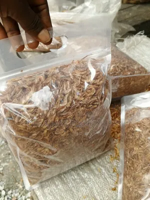 Oron Crayfish (Neatly Selected)
