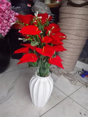 Flower Pot and Flower