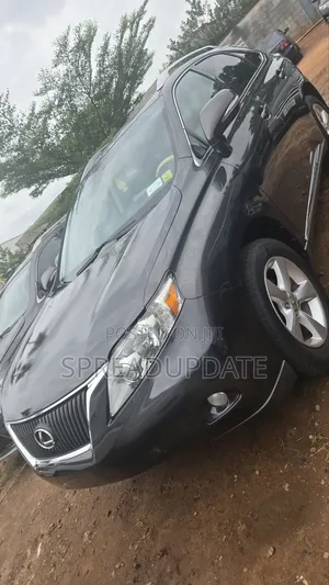 Lexus RX 2011 Gray