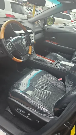Lexus RX 2011 Gray