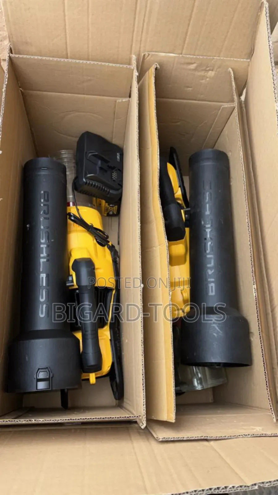Blower Rechargeable Type