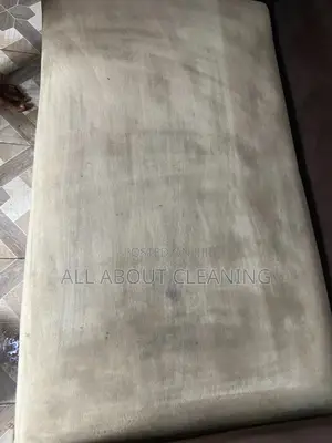 Transforming Sofas One Clean at a Time